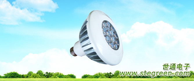 LEDPAR38(15w)